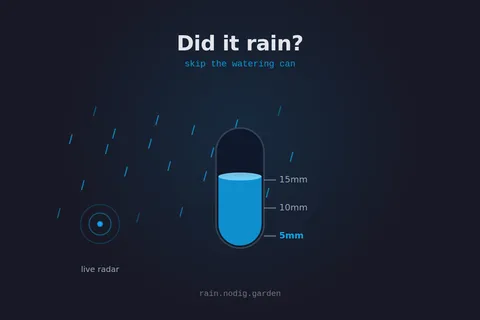 Did it rain? interface