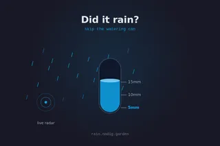 Did it rain? interface