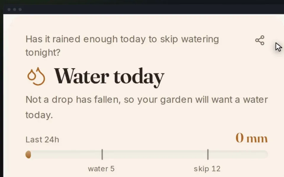 Did it rain? giving its verdict: water today, with no rain in the last 24 hours
