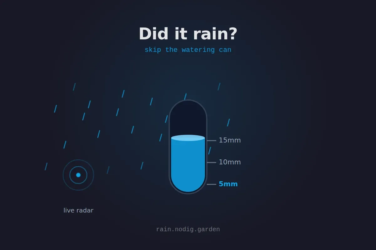 Did it rain? interface preview