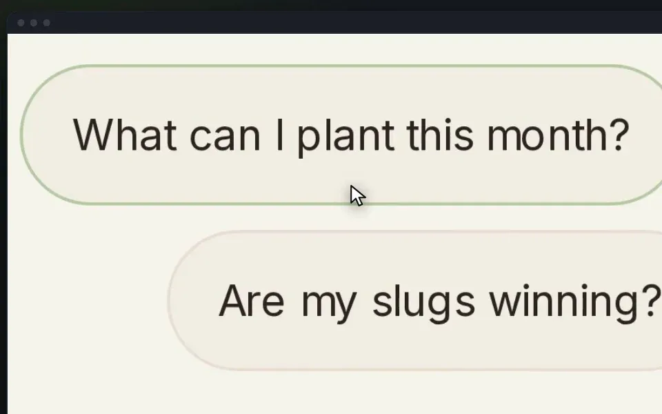 Mr Nodiggity's chat, suggesting "What can I plant this month?" and "Are my slugs winning?"